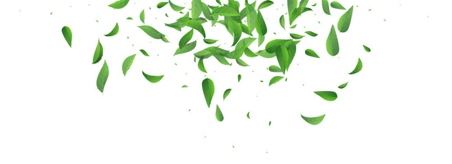 Leaves_Vortex_Flying_Vector_Background_188.eps