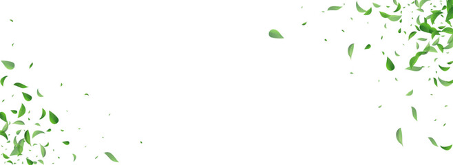 Leaves_Vortex_Flying_Vector_Background_248.eps