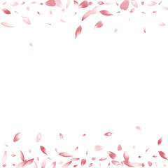 Novaya-09__Pudra_sakura3_01.eps