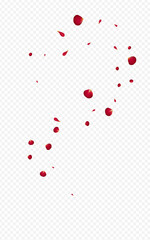 Red_Rose_Petal_Transparent_Background_166.eps