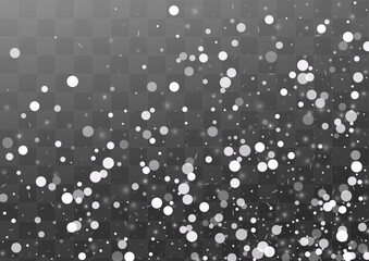 Snow_Flying_Snowflakes_Vector_Transparent_Background_1795.eps