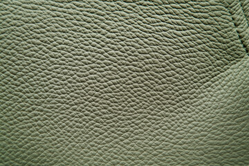 Light Green Grain Leather Texture. Background.