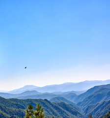 Blue sky, mountains and pine forest on landscape in nature for hiking, travel or mockup space in Turkey. Woods, hills and trees outdoor for tourism location, holiday or bird at national park with fog