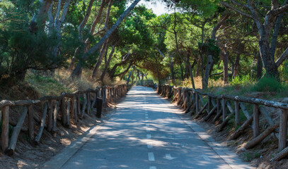 Fototapety na wymiar - Fototapeta24.pl