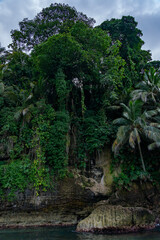 Fototapeta premium Tropical Island in Panama Surrounded by Pristine Ocean, Featuring Stunning Cliffs, Lush Greenery, Exotic Wildlife, and Caribbean Scenery, Ideal for Nature Lovers, Travel, and Adventure Photography