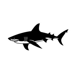 Fototapeta premium Shark silhouette, white isolate background