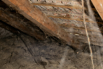 Dusty attic with cobwebs and wooden beams, perfect for haunted Halloween scenes or neglected property concepts