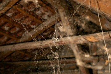 Old attic filled with cobwebs and dust, symbolizing neglect and Halloween spooky haunted house...