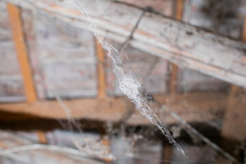 Close-up of cobwebs in an old attic, highlighting neglect and the need for spring cleaning