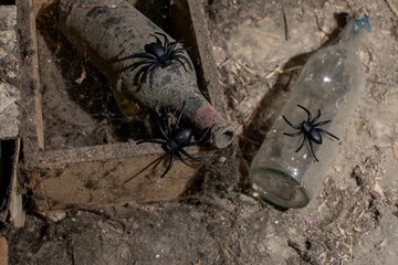 Dusty wine bottles with fake spiders evoke a Halloween theme with eerie and spooky decorations
