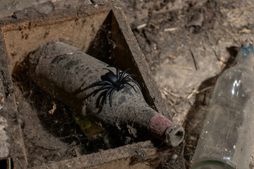 Dusty wine bottle with a plastic spider on it in a cobweb-covered box, symbolizing Halloween and...