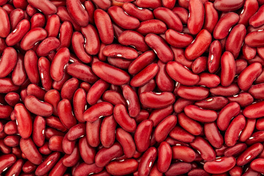 red kidney bean texture top view