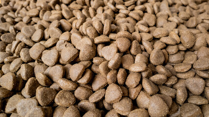 Close-up of a pile of dry dog food, ideal for pet care and nutrition concepts