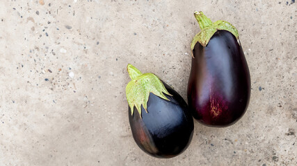 Two fresh eggplants on a speckled concrete surface representing healthy cooking and vegetarian diet concepts