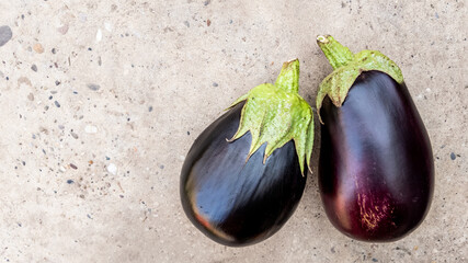 Two fresh eggplants on a concrete surface, perfect for summer gardening and healthy cooking concepts