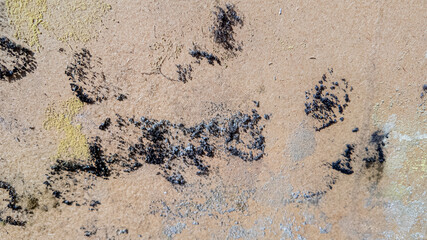 Mold growth on a wall indicating moisture damage, ideal for concepts related to home maintenance...
