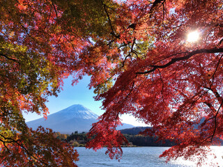 紅葉と富士山