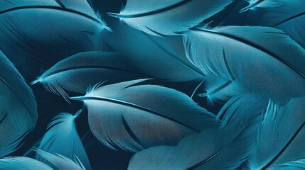 Obraz premium Feather background