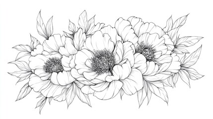 Line Art of Peony Flowers with Floral Frames and Bouquets Hand Drawn Fine Line Illustrations of Leaves and Flowers Botanical Coloring Page Featuring Isolated Peony Outlines