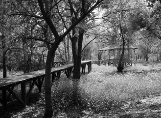 old wooden bridge black and white color