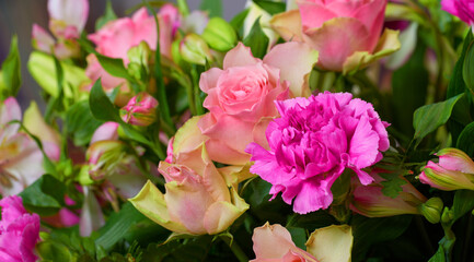 Flowers, fresh or pink on display for gift, presentation or selection for purchase in nursery. Roses, carnations or bouquet in plant store for Mothers day, celebration or symbol for romantic gesture