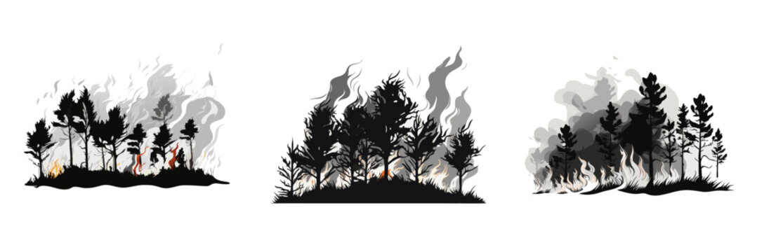 Forest fire scenes with burning trees and smoke, vector illustration. Three different depictions of wildfires in dense vegetation.
