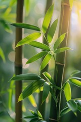 A bunch of green bamboo leaves are in the foreground of a bright green background. The leaves are...