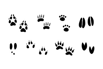 Set of animal paw prints in doodle style. Different animals footprints. Fox, bear, cat, lion, cat, tiger, dog, wolf, leopard, rabbit, deer. Hand drawn