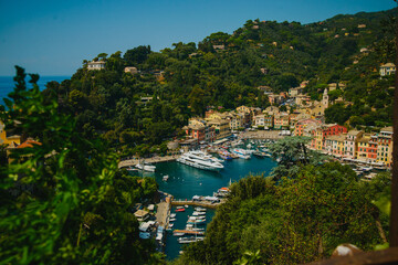 view of the city of kotor country