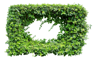 Lush greenery framing a blank cutout space surrounded by vibrant plants