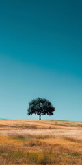 Fototapeta premium A solitary tree stands gracefully in vast field under clear blue sky, embodying tranquility and beauty of nature. golden grass sways gently in breeze, creating serene landscape