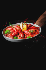 A close-up of a plate with vibrant red lobsters, garnished with fresh dill and lemon wedges, set against a dark background. The image highlights the freshness and color of seafood cuisine.