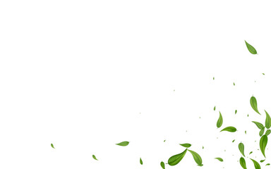 2560X1600G-20__leif_12_01.eps