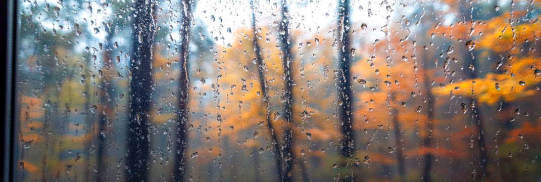 Eine Herbstlandschaft mit bunten Bl&auml;ttern und Regentropfen
