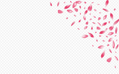 2560x1600ggr40__Violet2_01.eps