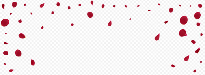 Red_Petal_Vortex_Flying_Vector_Transparent_Background_115.eps