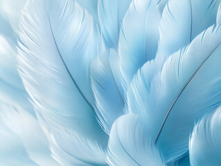 Delicate blue feathers cluster together, showcasing their intricate details and soft, fluffy texture, evoking a calming and peaceful atmosphere