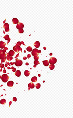 Red_Rose_Petal_Transparent_Background_137.eps