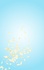 yellow_petals_blue_background_828.eps
