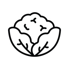 Fresh cauliflower with green leaves, healthy and organic food