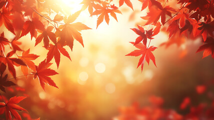 Fototapeta premium Autumn background with red maple leaves and blurred sunlight in the autumn season