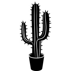 Cactus Vector Illustration
