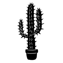 Cactus Vector Illustration