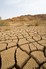 View of the Kyzylkum desert