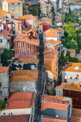 A row of houses with red roofs and brown walls. The houses are lined up in a row, with some of them having balconies. Scene is one of a quaint. Porto, Oporto, Portugal.