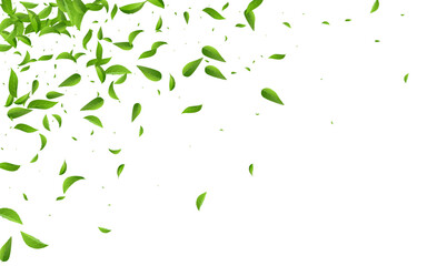 2560x1600ggr2__leif_3_01.eps