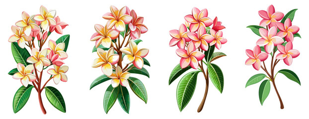 Exotic Plumeria Flower Illustration - Bright and Colorful Tropical Bloom with Pink and Yellow Shades, Ideal for Summer and Beach Themes, Plumeria Vector Illustration, Plumeria Flower Vector
, 



