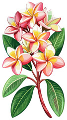 Exotic Plumeria Flower Illustration - Bright and Colorful Tropical Bloom with Pink and Yellow Shades, Ideal for Summer and Beach Themes, Plumeria Vector Illustration, Plumeria Flower Vector
, 



