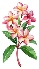 Exotic Plumeria Flower Illustration - Bright and Colorful Tropical Bloom with Pink and Yellow Shades, Ideal for Summer and Beach Themes, Plumeria Vector Illustration, Plumeria Flower Vector
, 



