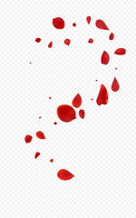 Red_Rose_Petal_Transparent_Background_160.eps
